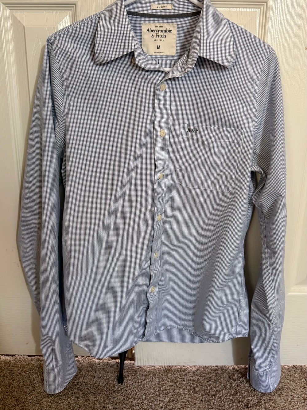 Abercrombie & Fitch Muscle Blue Check Button Shirt Men’s M